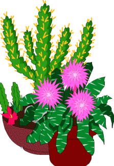223x326 Cactus Flower Clipart