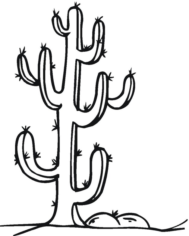 627x780 Download Cactus For Colouring Clipart Colouring Pages Coloring