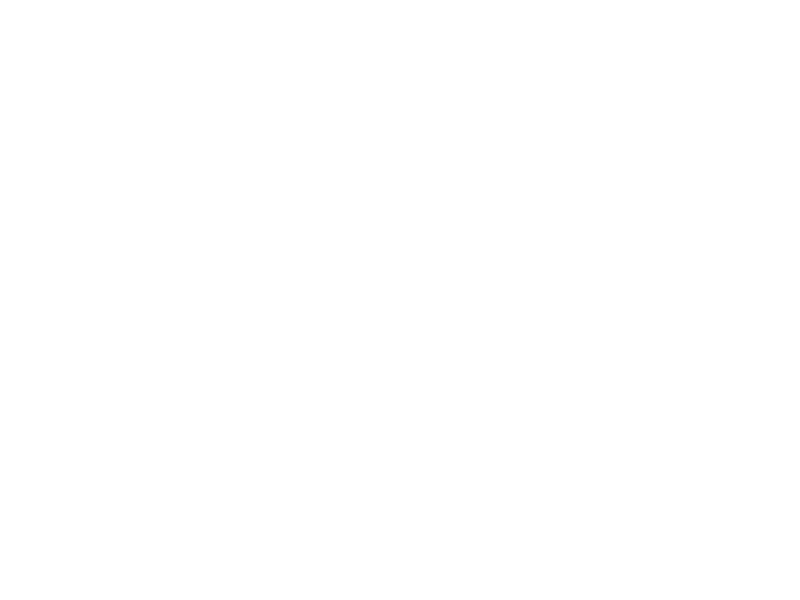 800x600 Drawing Cactus Family Transparent Png Clipart Free Download