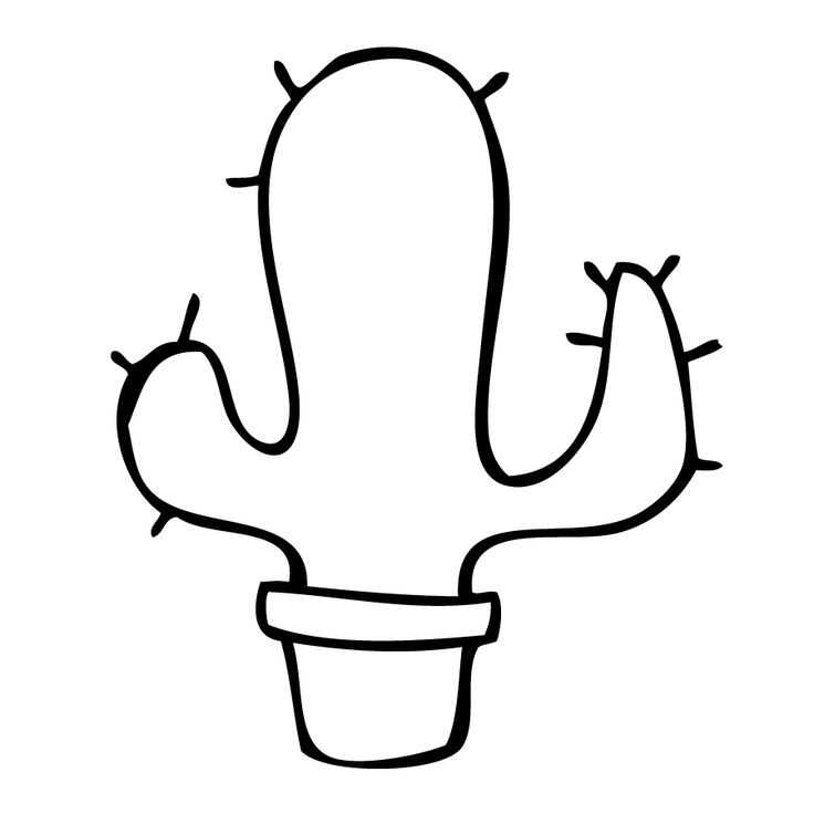 736x736 Cactus Drawing For Free Download