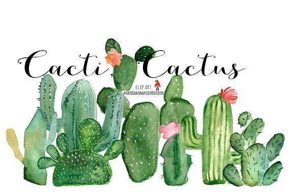 570x379 Cactus Clip Art, Hand Painted Clip Art, Summer Clip Art, Botanical