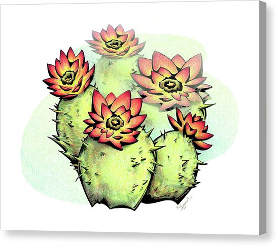 546x485 Nature Pencil Drawing Canvas Prints