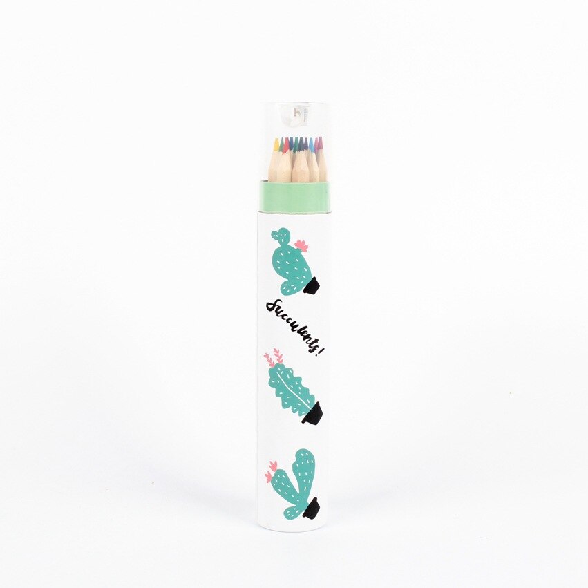851x851 Value Set! Cactus Pencils Stationary Tool Watercolor Box Color