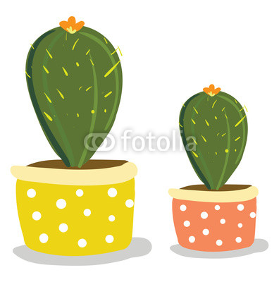 396x400 Two Cactus Plants With Flowers In Beautiful Decorated Pots