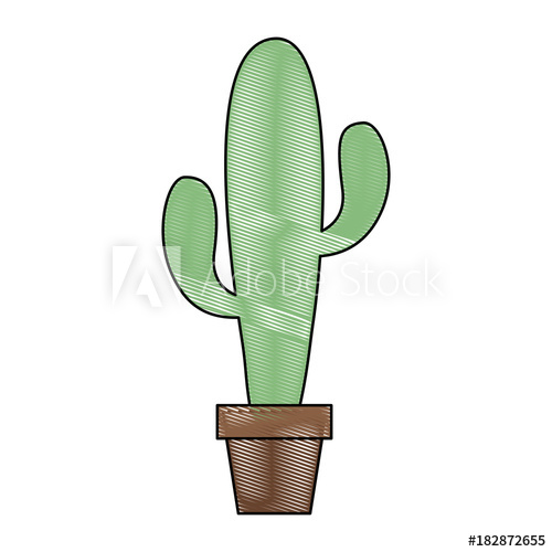 500x500 Potted Cactus Plant Natural Decoration Interior Vector