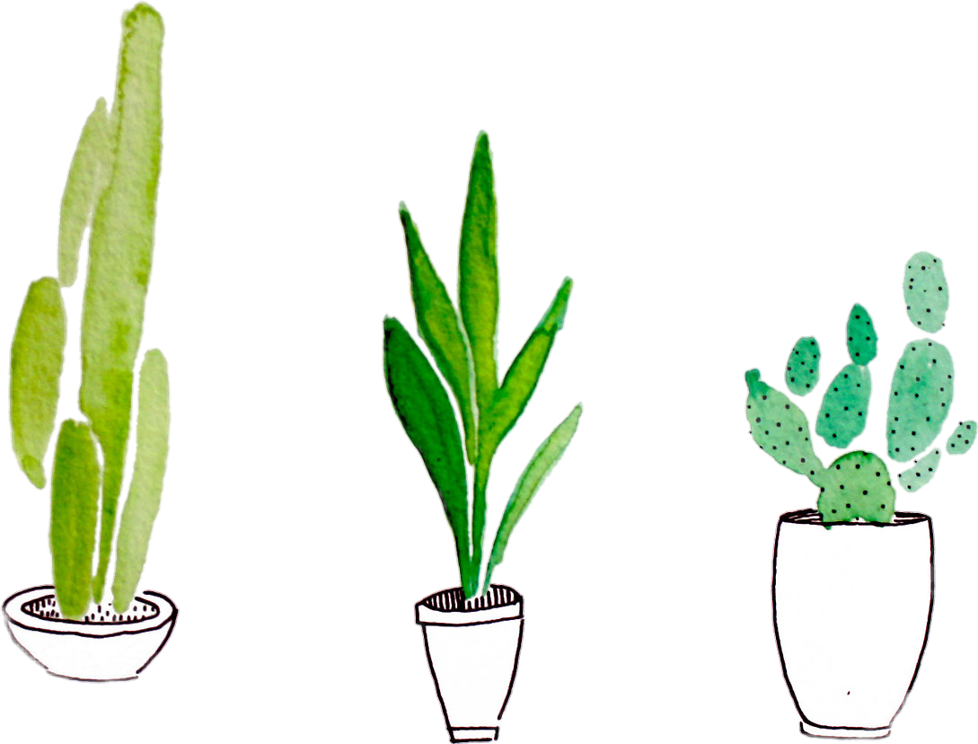 1089x828 Collection Of Free Transparent Cactus Tumblr Plant Download On Ui Ex