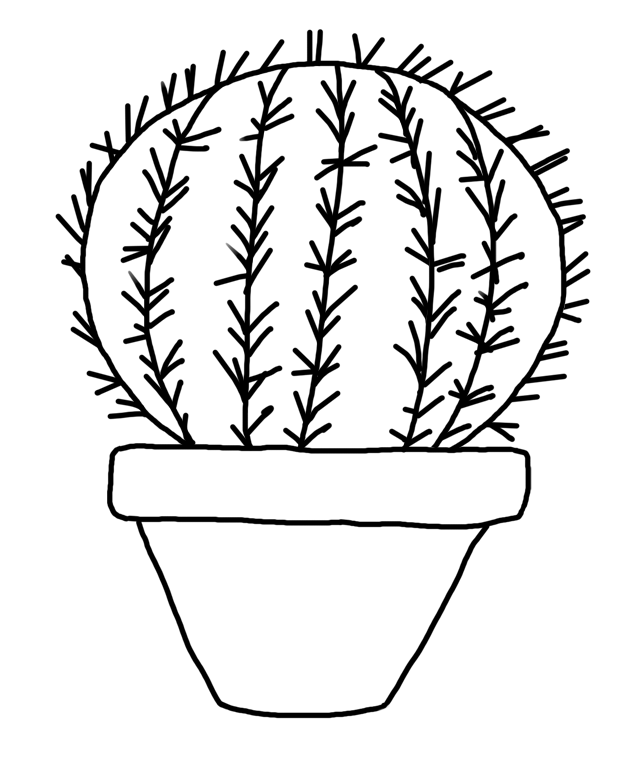 629x776 Drawing Cactus Easy Transparent Png Clipart Free Download