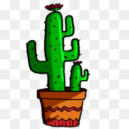 260x260 Tumblr Cactus Png Images In Collection