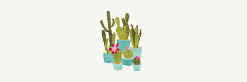 500x167 Cactus Headers Tumblr