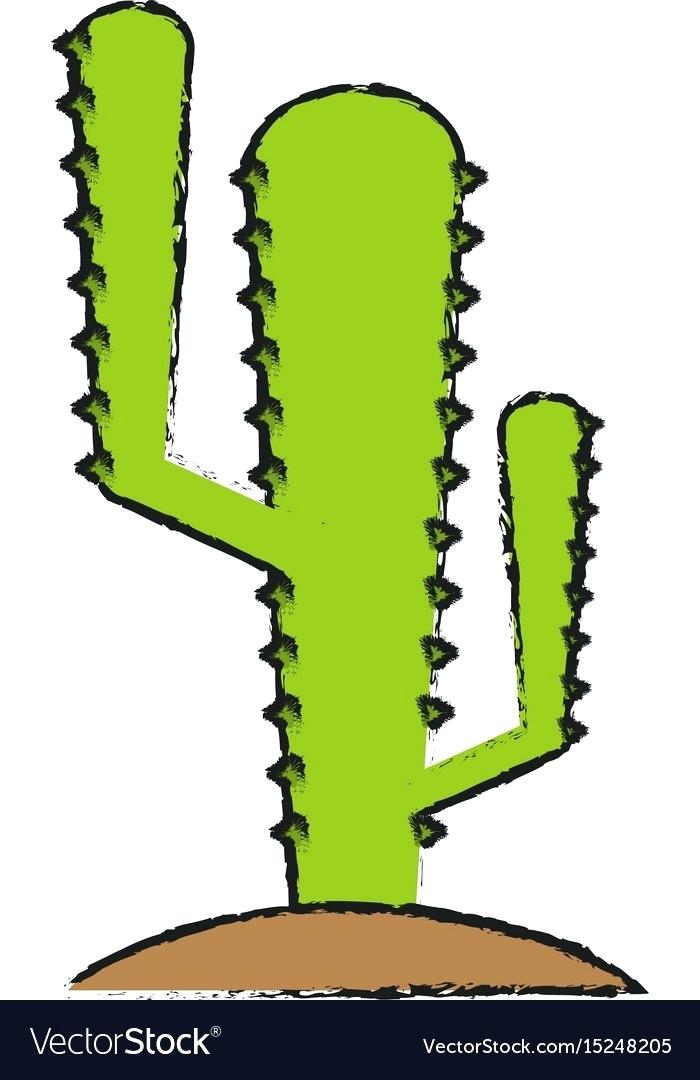 700x1080 How To Draw Cactus