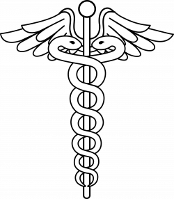 250x286 Vet Drawing Caduceus, Picture