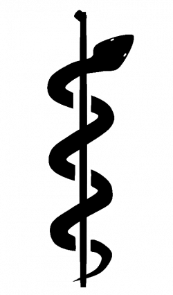 250x425 Vet Drawing Caduceus, Picture