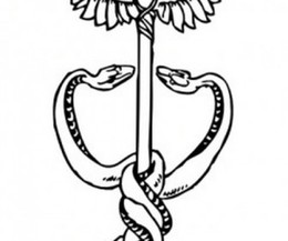 260x217 hermes symbol drawing