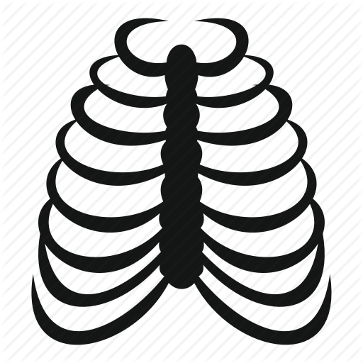 512x512 Drawing, Diagram, Illustration, Transparent Png Image Clipart