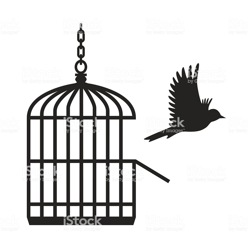 1024x1024 Huge Collection Of 'open Birdcage Drawing' Download More Than