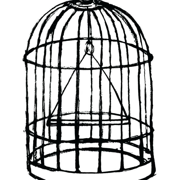700x700 Vintage Birdcage Drawing Bird Cage Tattoo French Antique Chateau