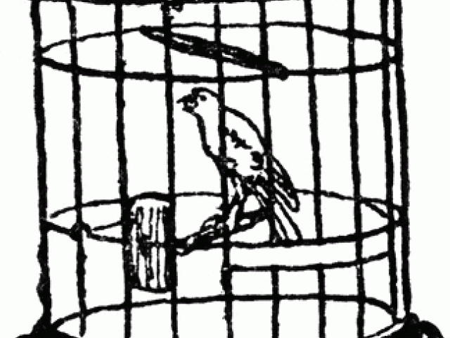 640x480 cage clipart caged bird