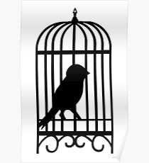 210x230 caged bird sings the online writing community
