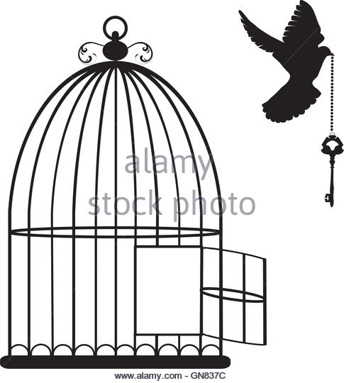 485x540 caged pigeon clipart