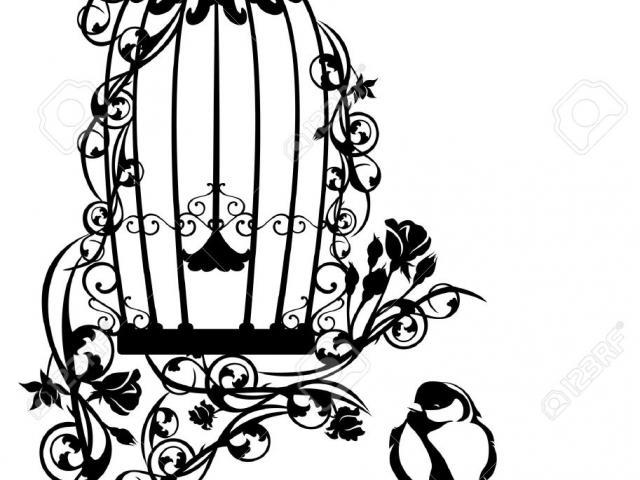 640x480 Drawn Birdcage Free Clip Art Stock Illustrations