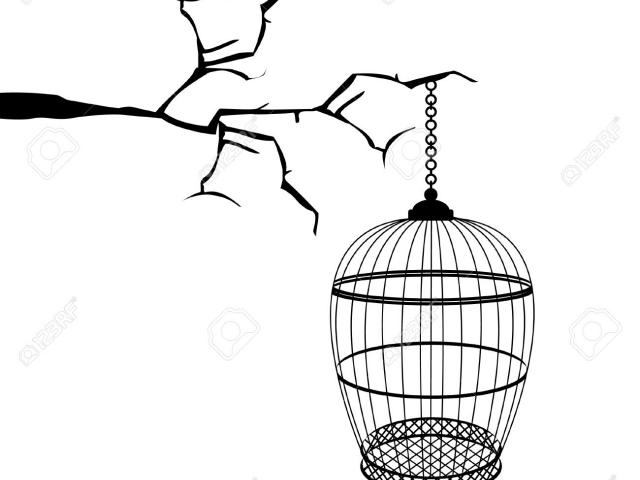 640x480 Free Drawn Birdcage, Download Free Clip Art