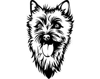 340x270 cairn terrier etsy