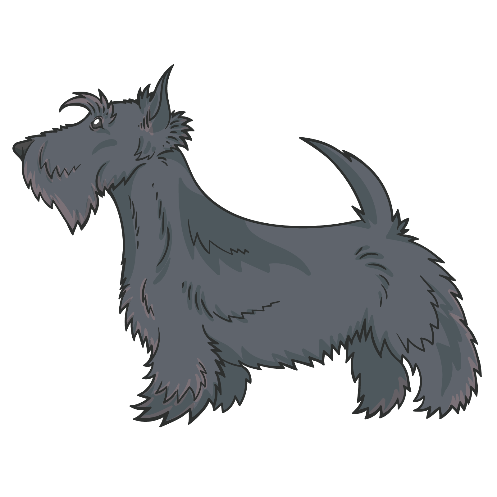 1600x1600 Dogs Vector Schnauzer, Picture