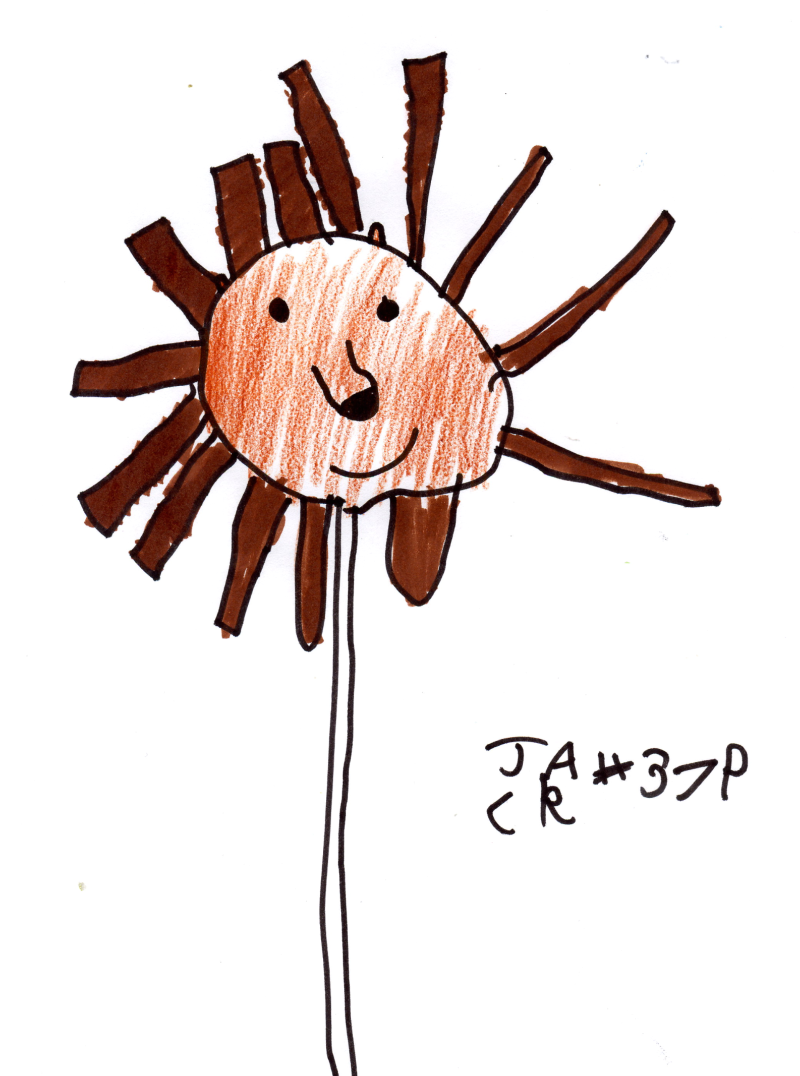 800x1076 Jack's Dream Cake Pop