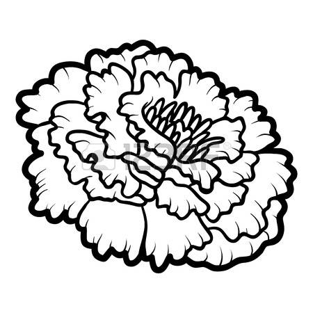 450x450 marigold clipart draw