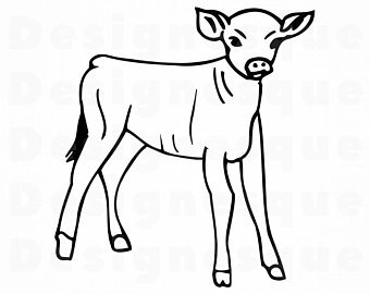 340x270 Cow Calf Etsy