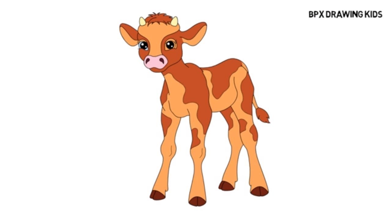 1280x720 how to draw and color calf for kids, calf drawing coloring