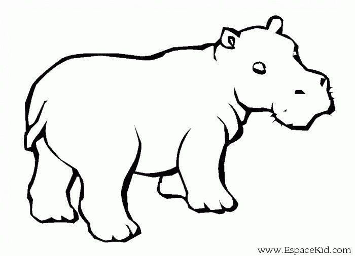 700x506 image result for hippopotamus calf tattoos hippo tattoo, hippo