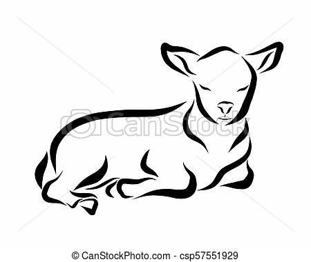 450x380 Sleeping Lamb Or Calf, Black Lines