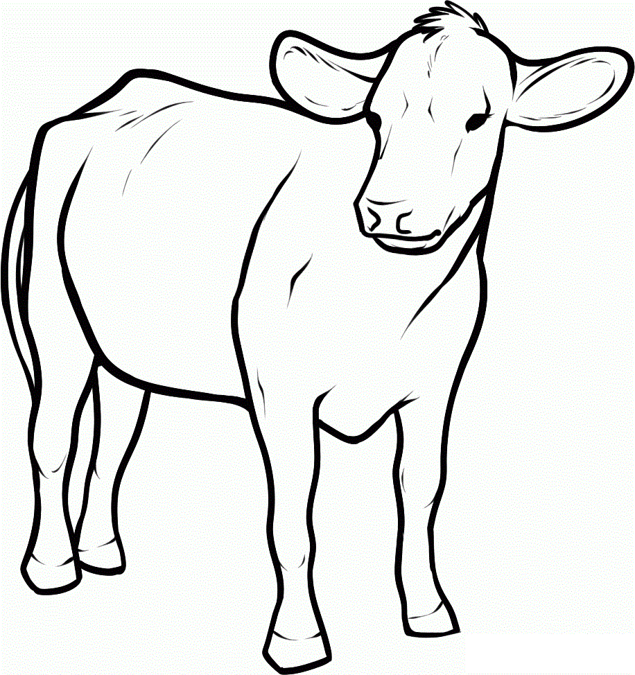 916x974 Calf Drawing Skinny Model For Free Download