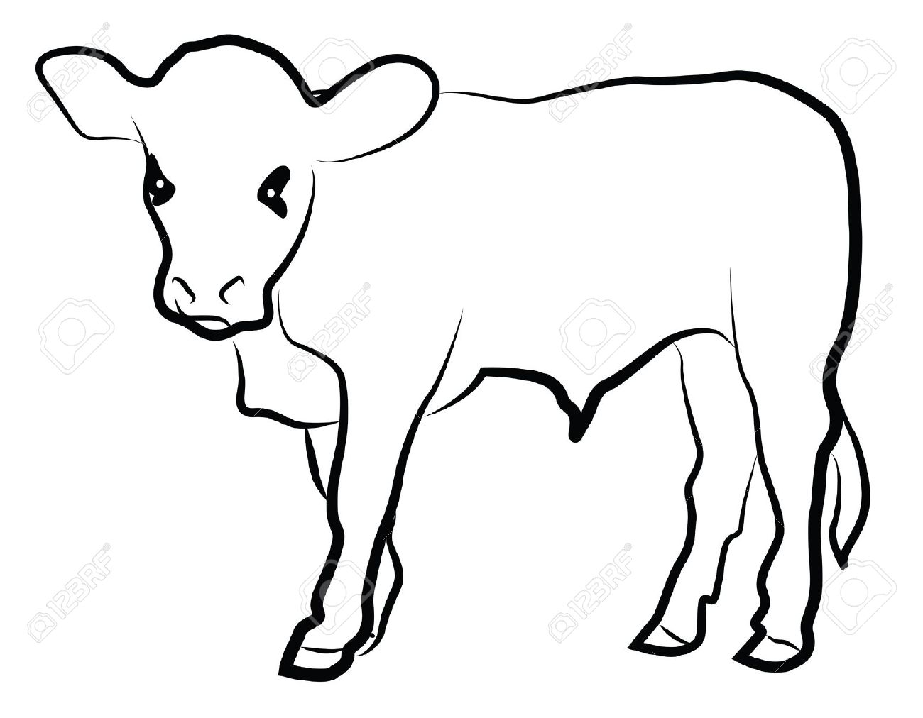 1300x1012 Cow Drawing Calf For Free Download