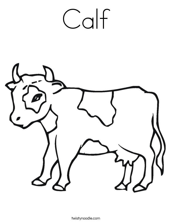 685x886 Calf Drawing Colouring