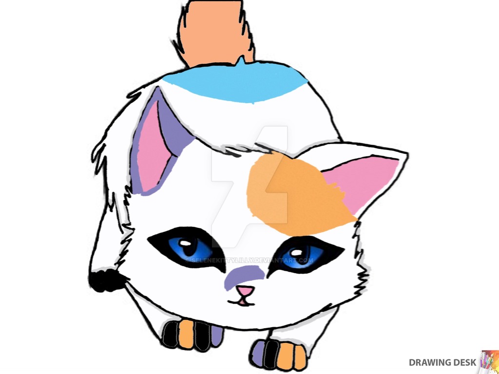 1024x768 Calico Cat