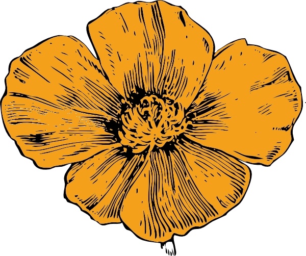 600x502 California Poppy Clip Art Free Vector In Open Office Drawing