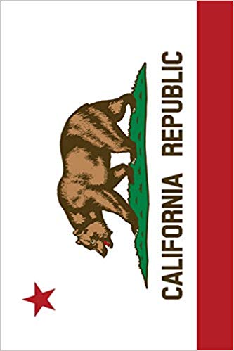 333x499 California Flag Sketchbook