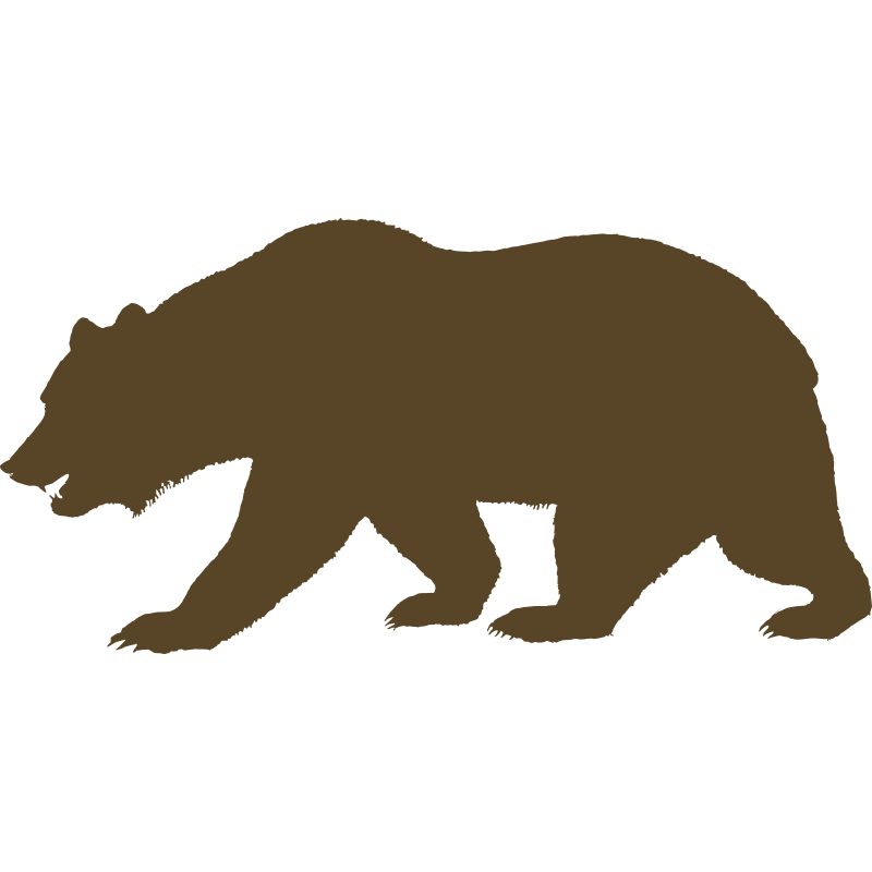 800x800 california bear outline california bear print outs