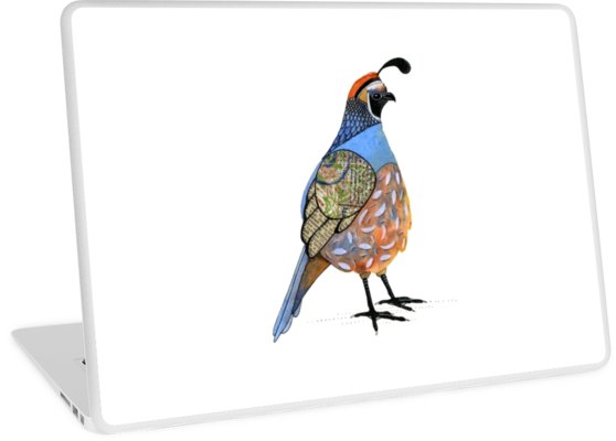 558x400 California Quail Laptop Skins