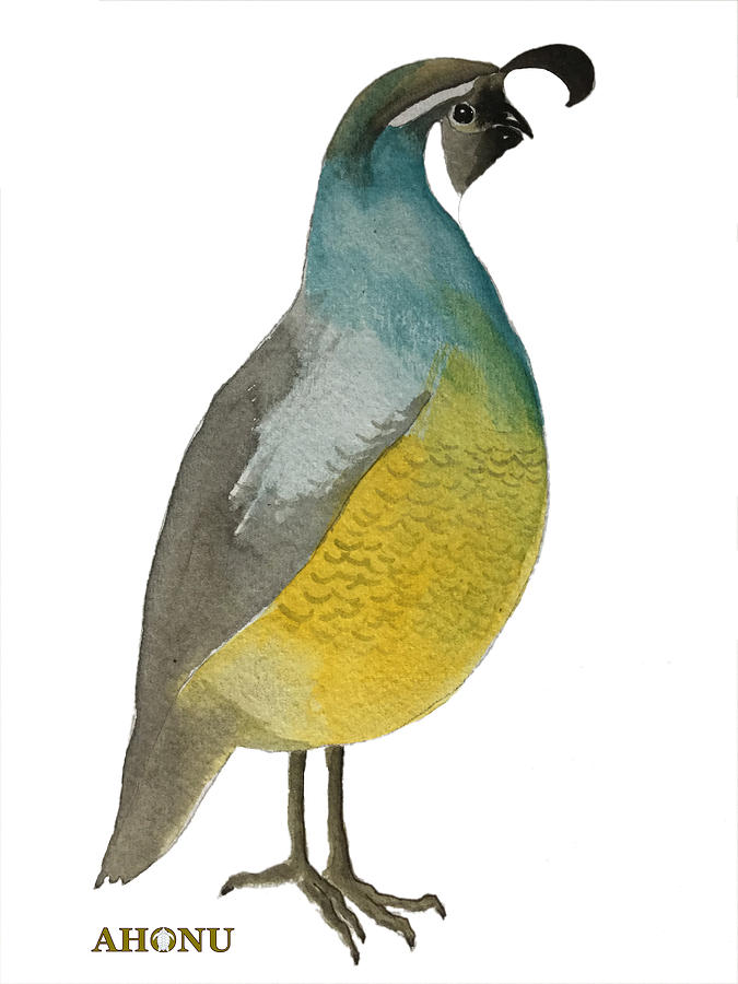 675x900 California Quail Posing Painting