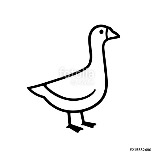 500x500 California Quail Drawing Stock Image And Royalty Free Vector