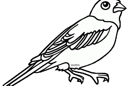 450x300 Collection Of Free Quail Drawing State California Bird Download