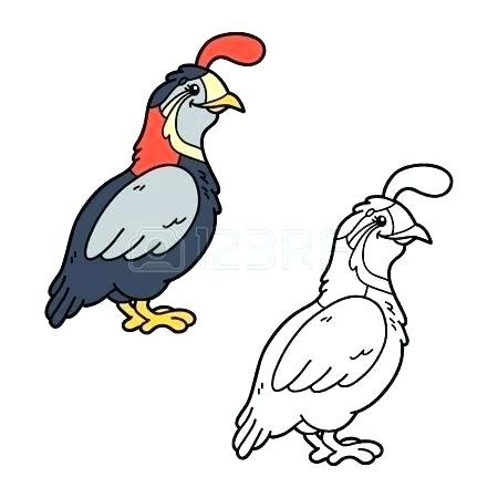 450x450 Q For Quail Coloring