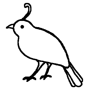 300x309 Quail Quail Bird Transparent Png Clipart Free Download