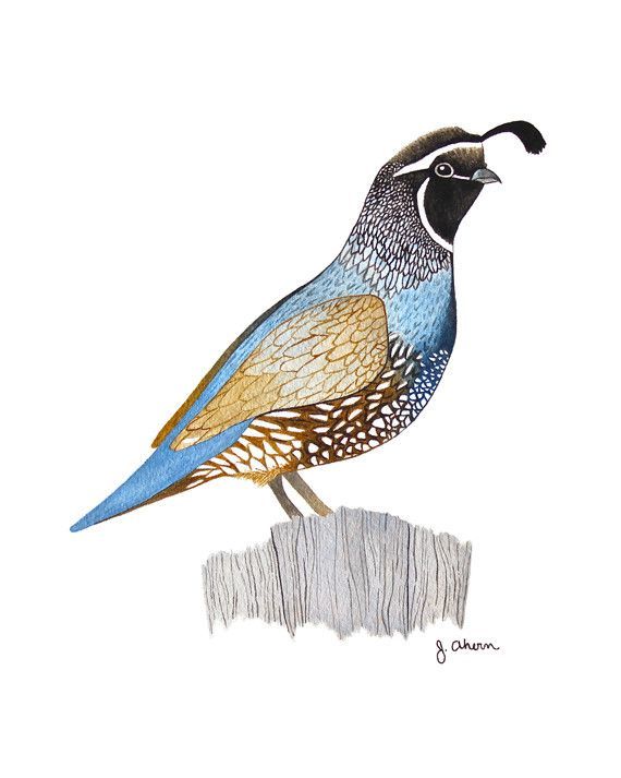 570x713 This Original Watercolor Painting, Is One