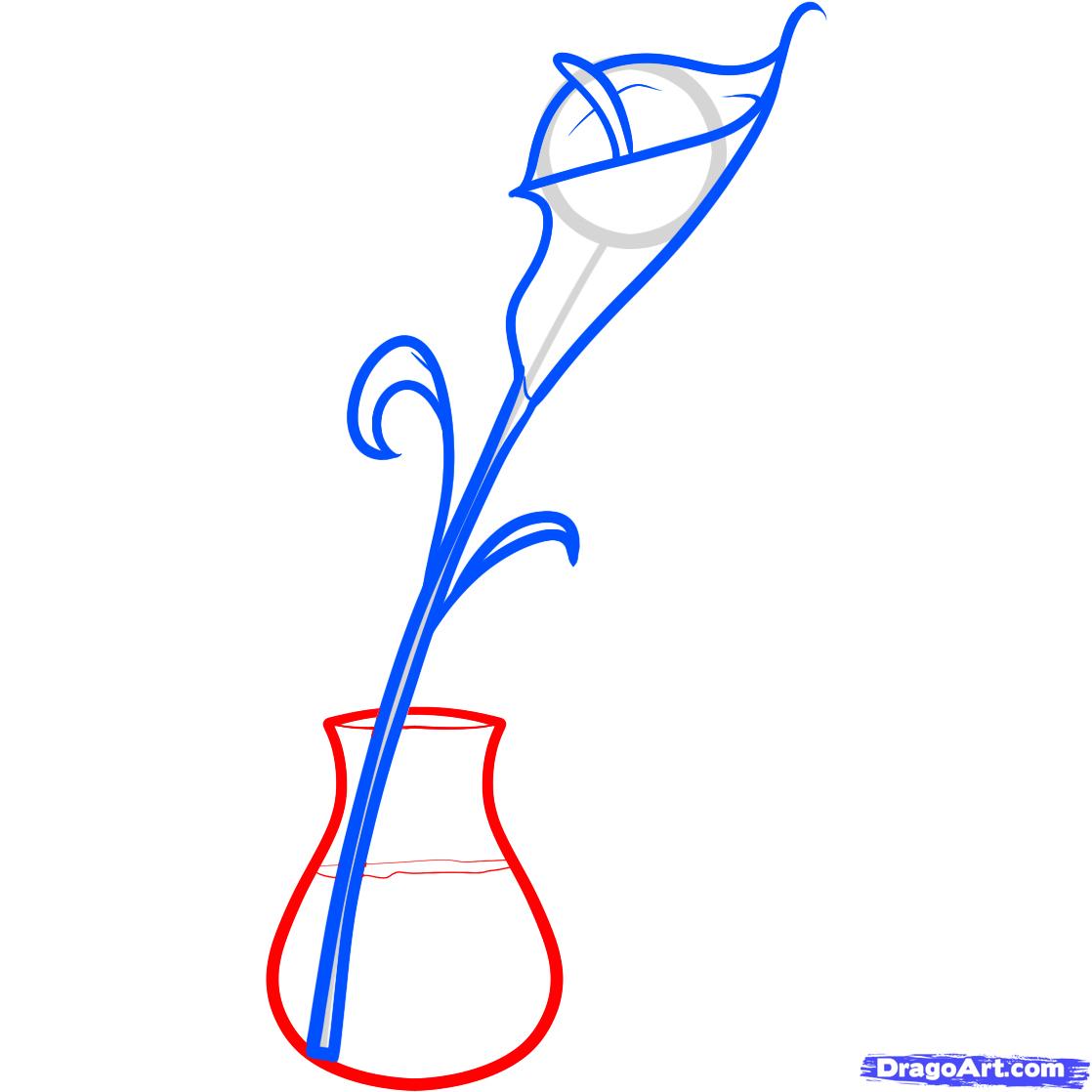 1118x1118 How To Draw A Calla Lily, Step