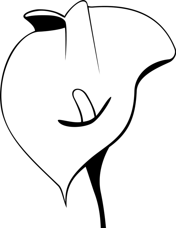 619x800 Calla Lily Outline Rubber Stamp Flower Leaf Stamps Stamptopia