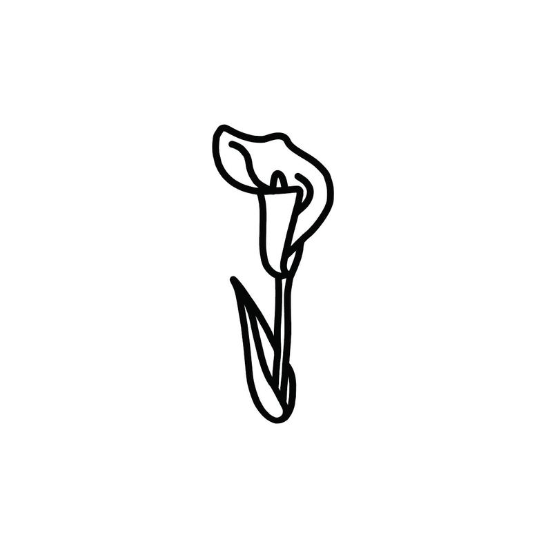 Calla Lily Drawing Outline | Free download on ClipArtMag